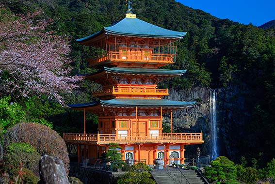 Day 7: Kumano Nachi Taisha Shrine and Seigantoji Temple