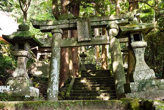 Day 4: Walk Mt Inomure to Reisen-ji Temple