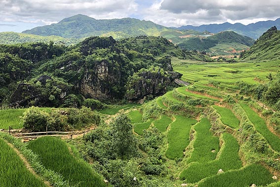 Day 6: VIETNAM